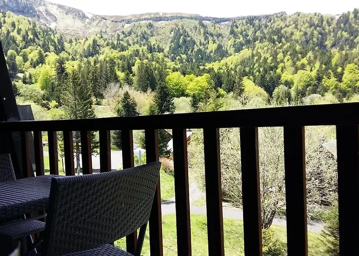 Appartement Avec Balcon Au Mont Dore