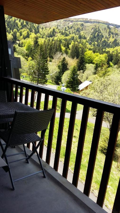 Avec Balcon Au Dore Apartment *