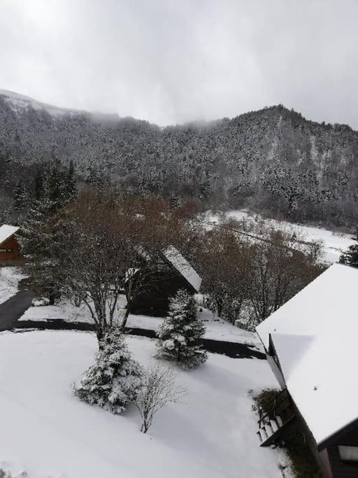 Avec Balcon Au Dore Le Mont-Dore